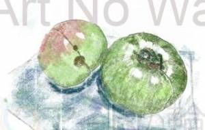 いただき物 トマト - 京扇