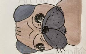 昼下がりのパグ - ミチェル