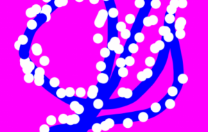 不思議な世界 - 笹谷正博