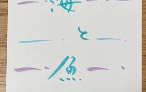 海は広いな - 角+