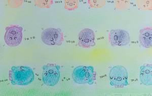 ぷぅちゃん7 - Chiho