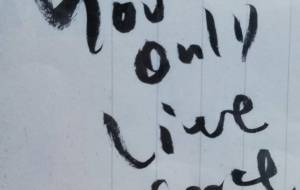 人生は一度きり - 平野好重