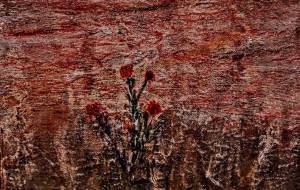 荒野の花 - 久保田 俊