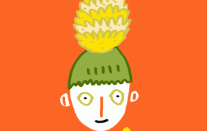 pineapple boy - 空叶論 