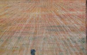 はたけ - 久保田 俊