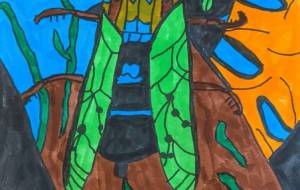 夏の終りのアブラゼミ - 田中郷