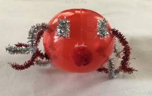 海の生きもの - COCOna