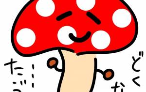 怪しいきのこ - にゃんれの