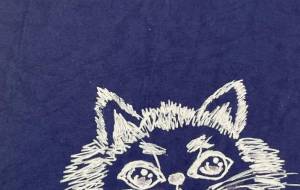 星空とねこ - A・zoo