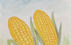 とうきび - A・zoo