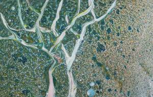 なんだかわからないき - 久保田 俊