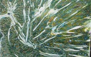 くじゃく - 久保田 俊