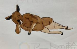 格闘系親父カンガルーはっち休息 - ミチェル