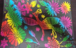 火鳥楓秋 - 明紅葉