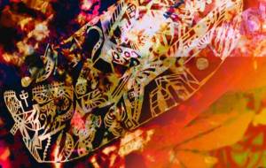 しょも号(古都) - しょも