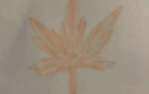 もみじ - 吉田昌平