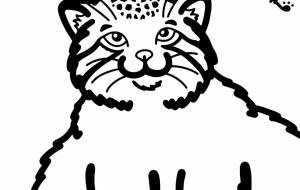 マヌルネコ - 【イベント】可能性アートプロジェクト 2022