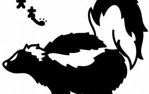 シマスカンク - 【イベント】可能性アートプロジェクト 2022