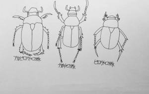 コガネムシ - 【イベント】可能性アートプロジェクト 2022