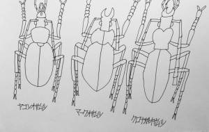 オサムシ - 【イベント】可能性アートプロジェクト 2022