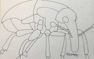 ゾウムシ2 - 【イベント】可能性アートプロジェクト 2022