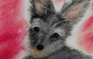 ワンちゃんの似顔絵 - naomi