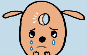 LOST DOG - 空叶論