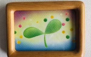 新しい芽 - naomi