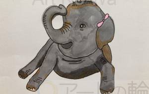 ぞうさんゴロン - ミチェル