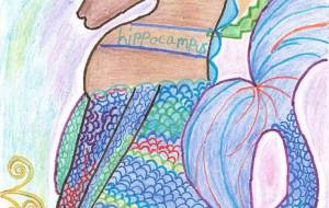 hippocampus - ヌカ