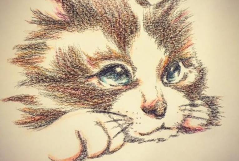 ねこ - miQu 