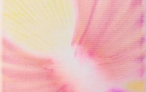 不死鳥のエネルギー - スターシード和