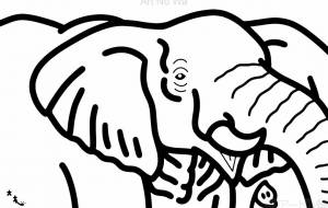 アフリカゾウ - 【イベント】可能性アートプロジェクト 2022