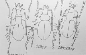 連続模様素材2 ゴミムシ2 - 【イベント】日本一おしゃれな制服制作プロジェクト応募作品