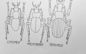 連続模様素材5 オサムシ2 - 【イベント】日本一おしゃれな制服制作プロジェクト応募作品