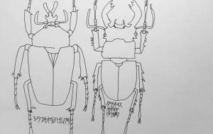 連続模様素材8 クワガタ2 - 【イベント】日本一おしゃれな制服制作プロジェクト応募作品