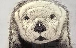 らっこ - 【イベント】可能性アートプロジェクト 2022