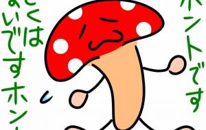 例のきのこ - にゃんれの