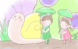 梅雨のさんぽみち - Rico