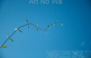 つる - 田中ハル