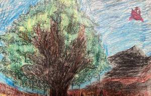 塗り絵 - 笹谷正博