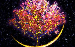 二十八夜月 - 山下重人