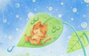 雨上がりの空の下で - Cano