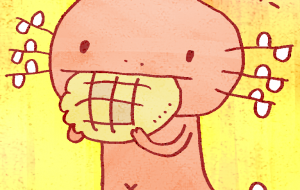 パン食べるウーパールーパー - 空叶論