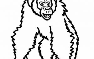 チンパンジー - 【イベント】可能性アートプロジェクト 2022 
