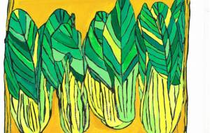 青梗菜 - 松元竣資