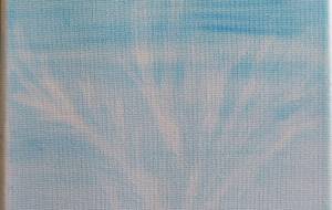 空に舞う白龍の群れ - スターシード和