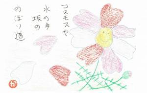 「コスモス」(2022年9月) - かづみ