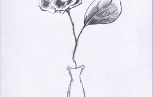 一輪 - 草地美波