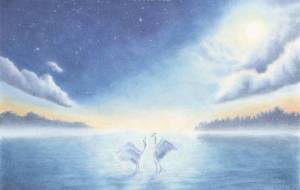 光のワルツⅡ - 【イベント】可能性アートプロジェクト 2022